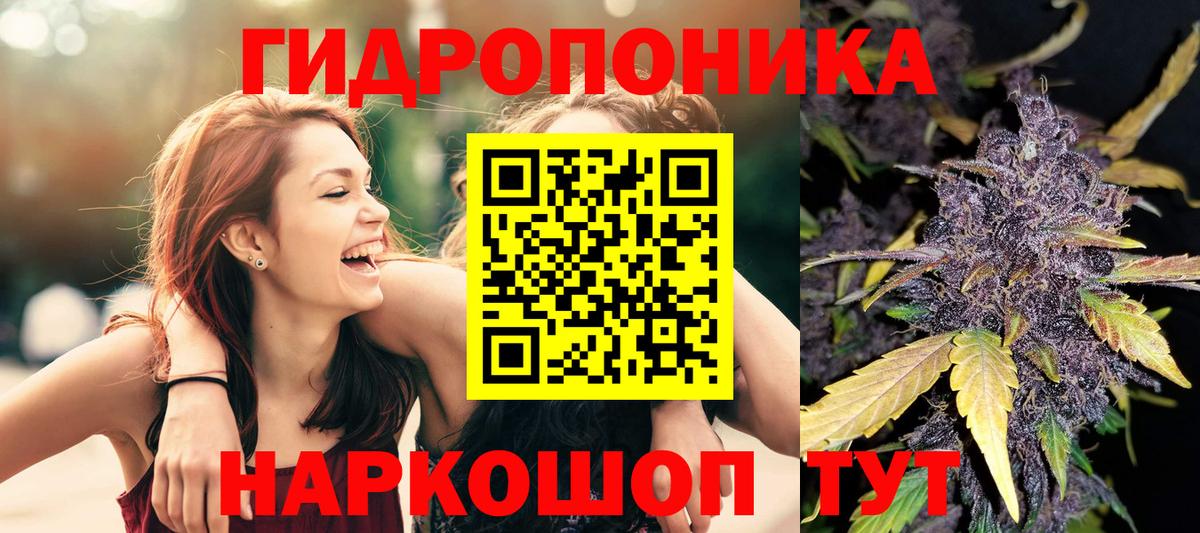 Канабис VHQ  Вход с VPN  Конопля Bruce Banner  Нижнекамск  Конопля тримм 